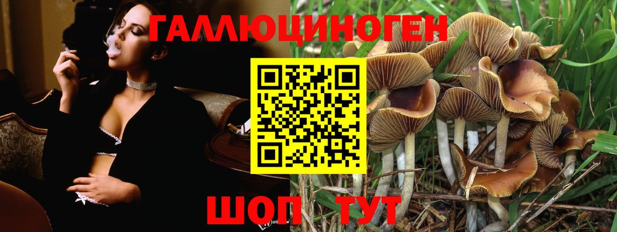 Галлюциногенные грибы прущие грибы  Вход с VPN  Псилоцибиновые грибы Psilocybe  купить   Биробиджан 